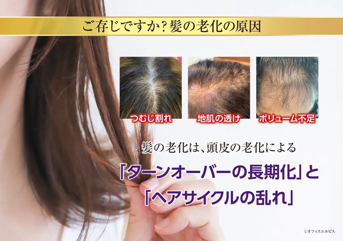 髪の老化の原因